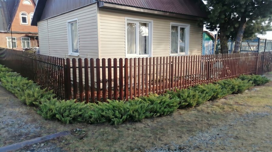 Штакетник Экстра 8017